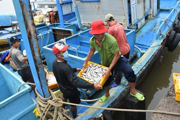 Fishermen in Phuoc Tinh commune of Long Dien district in Ba Ria-Vung Tau province. (Source: VNA)