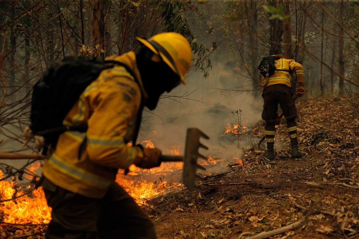 Chile nỗ lực ngăn chặn thảm hoạ cháy rừng