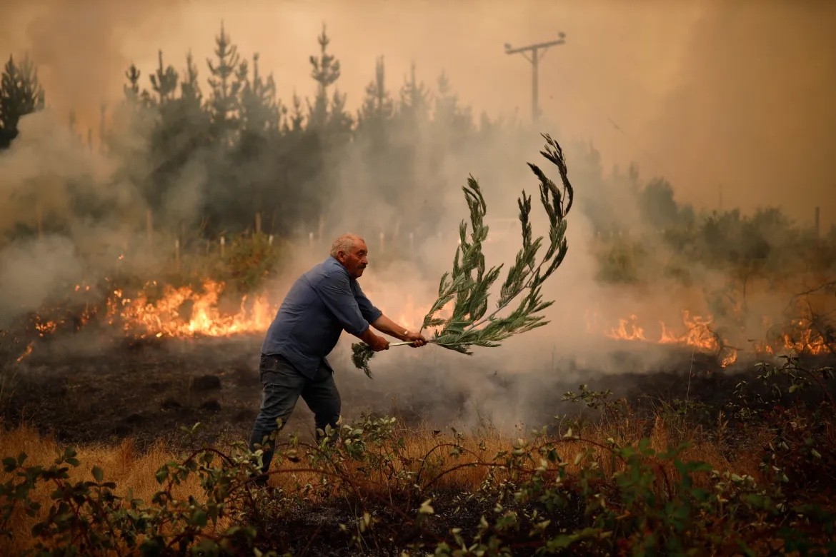 Chile nỗ lực ngăn chặn thảm hoạ cháy rừng