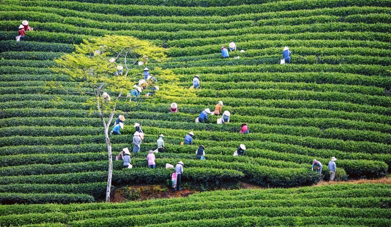 Action plan to innovate and improve collective economic efficiency