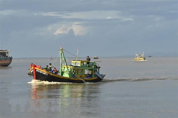 Binh Thuan province works to halt illegal fishing