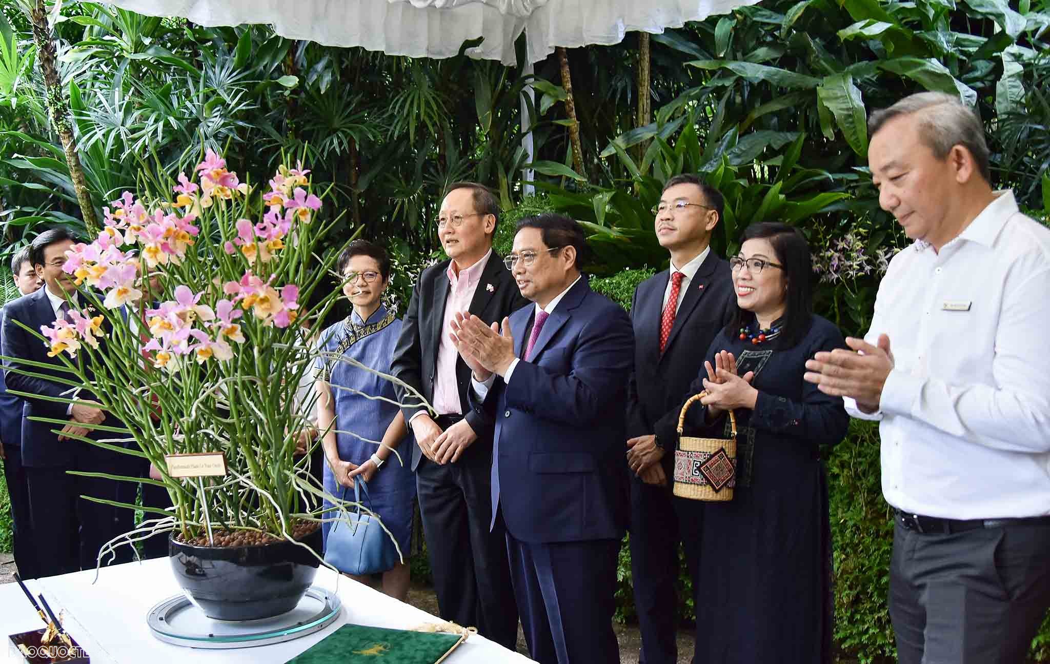 Prime Minister Pham Minh Chinh offers flowers at Ho Chi Minh Statue in Singapore