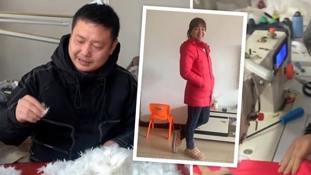 Trung Quốc: Chồng nuôi ngỗng, may áo lông vũ tặng vợ