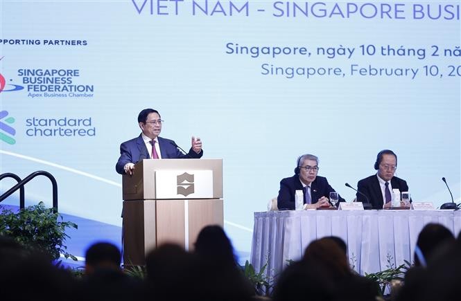 Prime Minister attends Vietnam-Singapore business forum