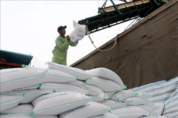 Vietnam’s rice exports predicted to drop in 2023