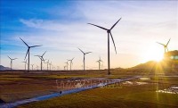SMEs have limited engagement in circular economy: Scholar