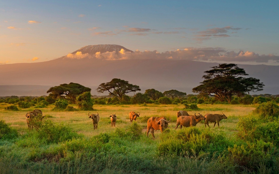 Kenya chào đón sự trở lại của khách du lịch Trung Quốc sau đại dịch COVID-19(Nguồn: Shutterstock)