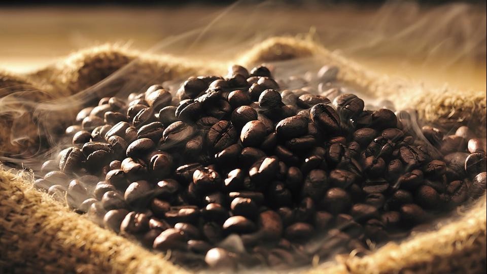 Giá cà phê hôm nay 12/7/2023: Giá cà phê lại đỏ sàn, nông dân Brazil đẩy mạnh thu hoạch, có thể thiết lập xu hướng giảm?