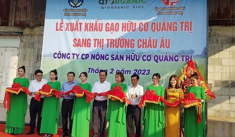 Xuất khẩu ngày