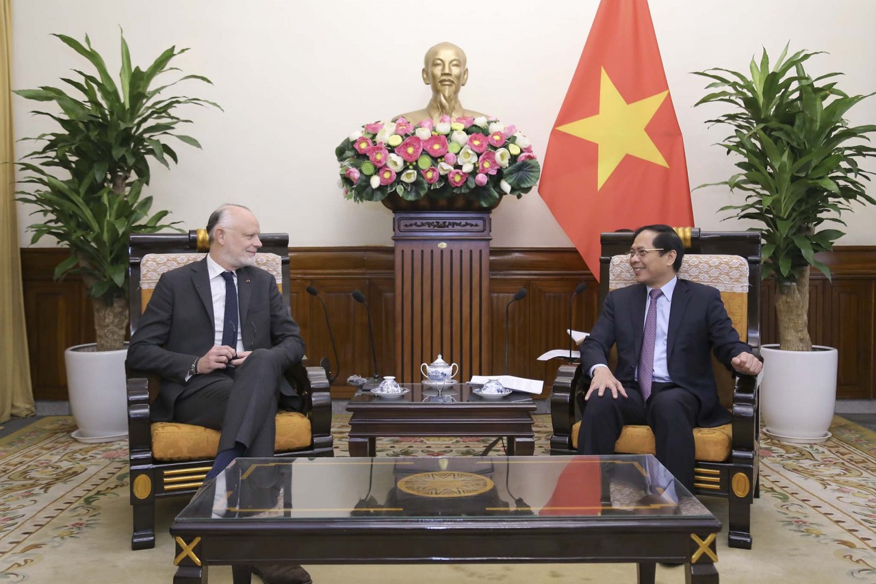 Foreign Minister Bui Thanh Son receives former French Prime Minister