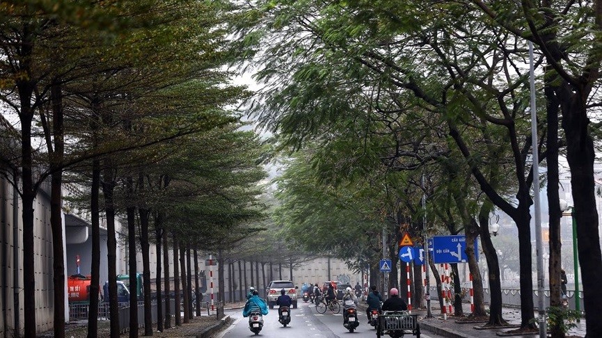 Dự báo thời tiết đêm nay và ngày mai (14-15/2): Hà Nội, Bắc Bộ trời rét, mưa vài nơi; Trung Trung Bộ cục bộ có mưa to; phía Nam ngày nắng
