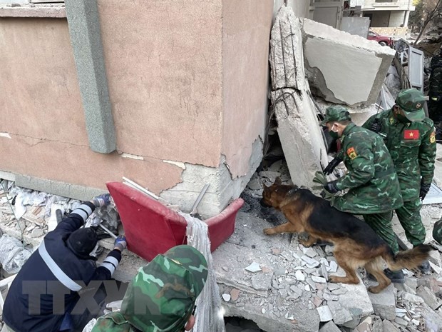 Embassies continue support for rescue efforts in Turkey, Syria: Ambassador
