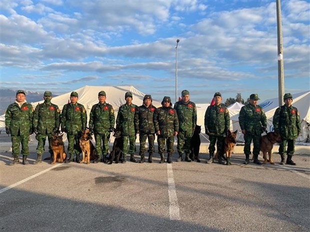 Vietnam’s search-and-rescue dogs work effectively in Turkey