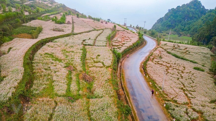 Silk-like river in deepest canyon in Southeast Asia Ha Giang: Silk-like river in deepest canyon in Southeast Asia