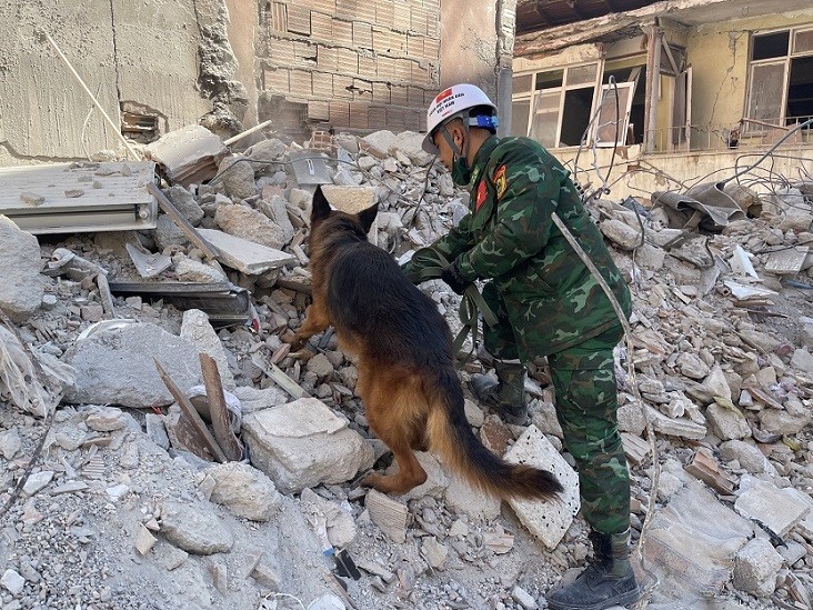 chó nghiệp vụ để tìm kiếm các nạn nhân trong các đống đổ nát do động đất tại Antakya, thủ phủ tỉnh Hatay, Thổ Nhĩ Kỳ.