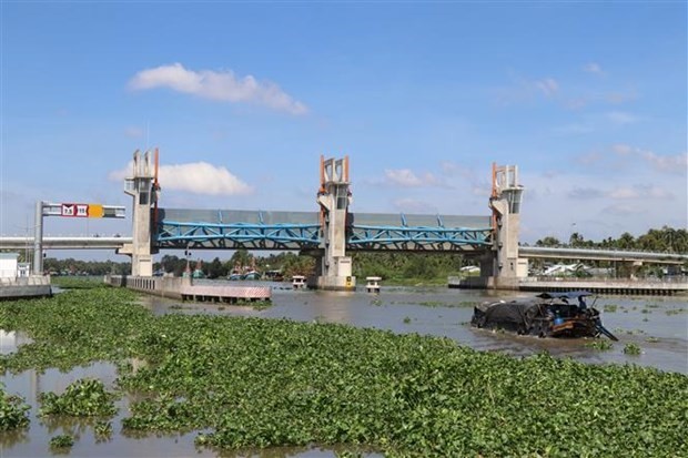 Saltwater intrusion is expected to increase in Mekong Delta in March