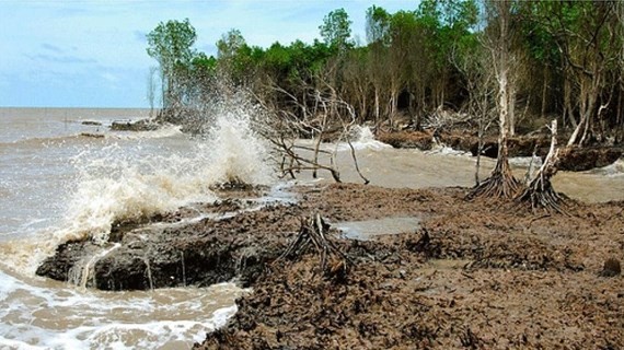 Saltwater intrusion is expected to increase in Mekong Delta in March