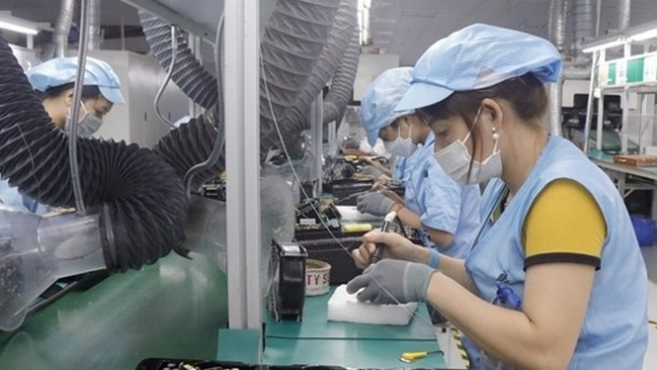 Foreign investors eye Vietnamese market for opportunities