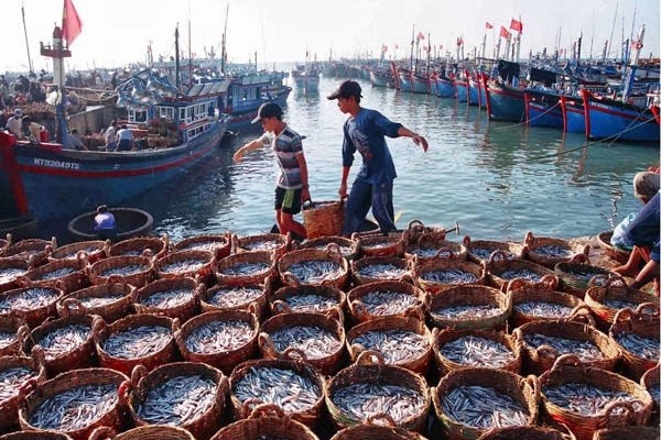 Border gates in Lang Son in full swing, particularly shipments of farm produce