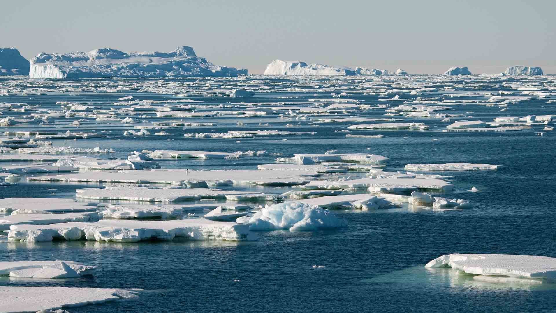 Nam Cực - ‘Lục địa trắng’ đang bị tổn thương