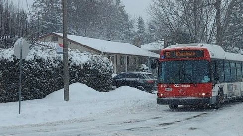 Canada: Tuyết rơi dày làm cản trở giao thông