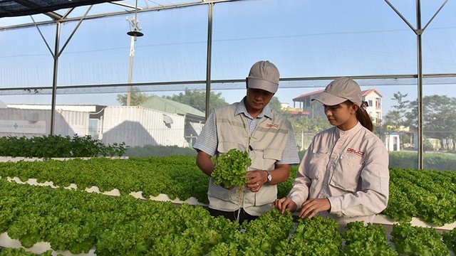 Việt Nam, Hà Lan thúc đẩy tăng cường hợp tác về nông nghiệp thông minh