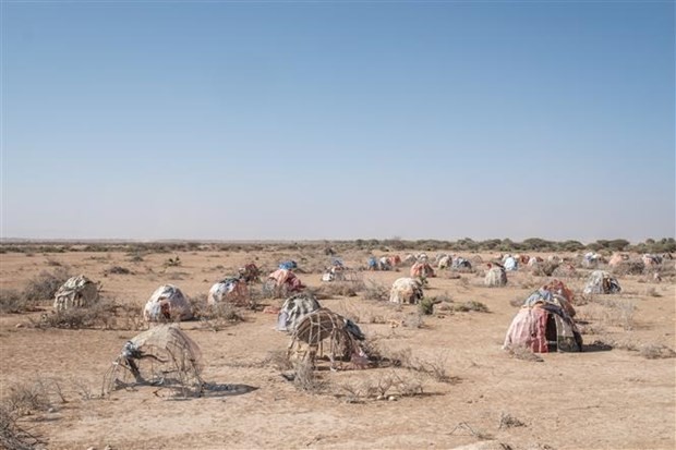 Các lều tạm bị người dân bỏ lại khi phải sơ tán do hạn hán tại Gode, Ethiopia ngày 12/1/2023. (Ảnh: AFP/TTXVN)