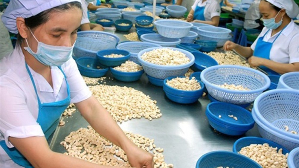 Một ngành hàng xuất khẩu tỷ USD của Việt Nam 'đuối sức'