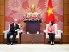 Việt Nam-Nhật Bản: Thúc đẩy hợp tác trên các lĩnh vực mang lại lợi ích cho cả hai bên
