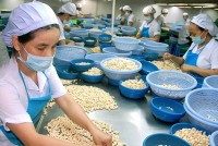Một ngành hàng xuất khẩu tỷ USD của Việt Nam 'đuối sức'