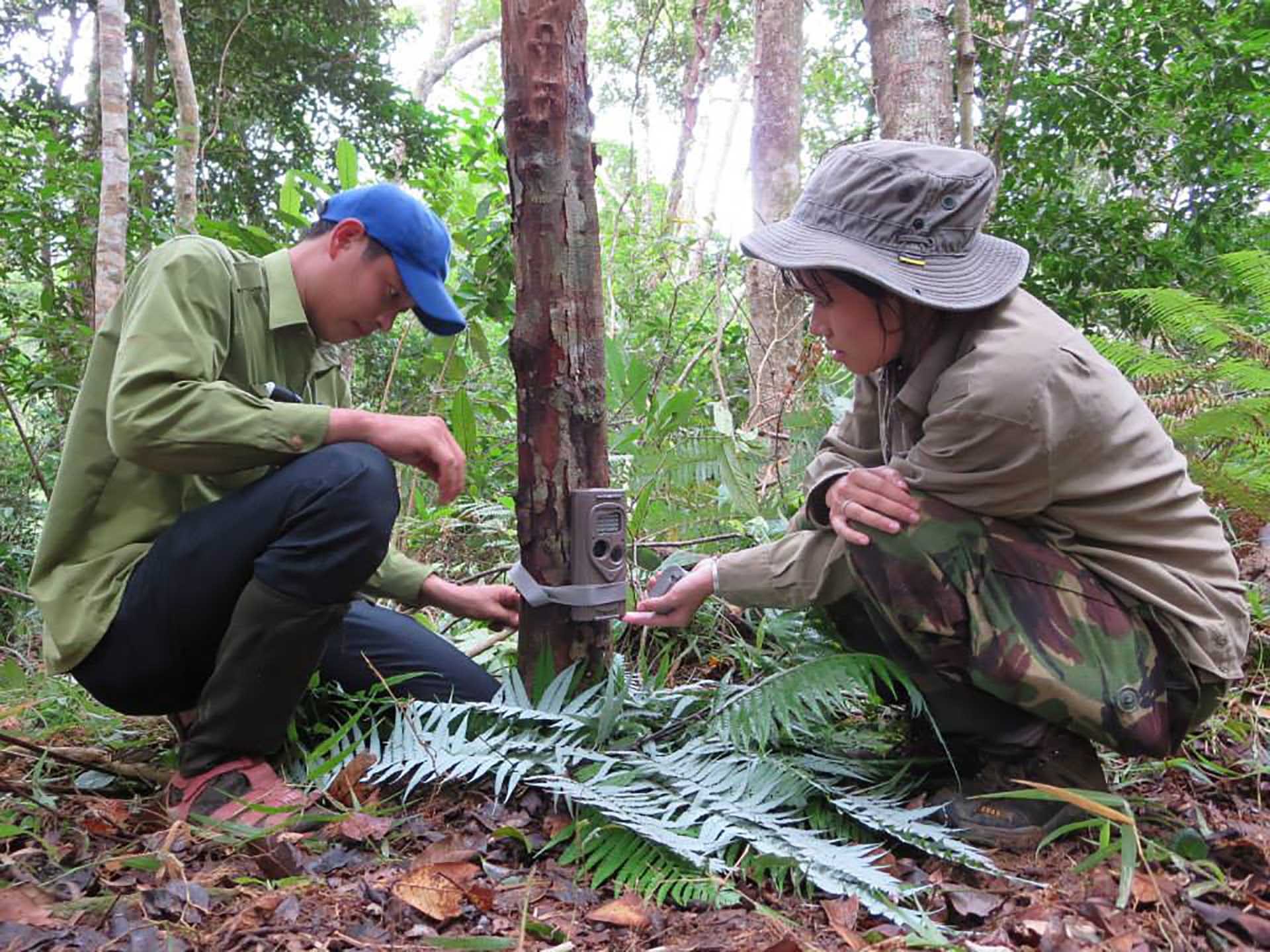 Nguyễn Thị Thu Trang và hoạt động trong lĩnh vực bảo tồn động vật hoang dã. (Ảnh: NVCC)