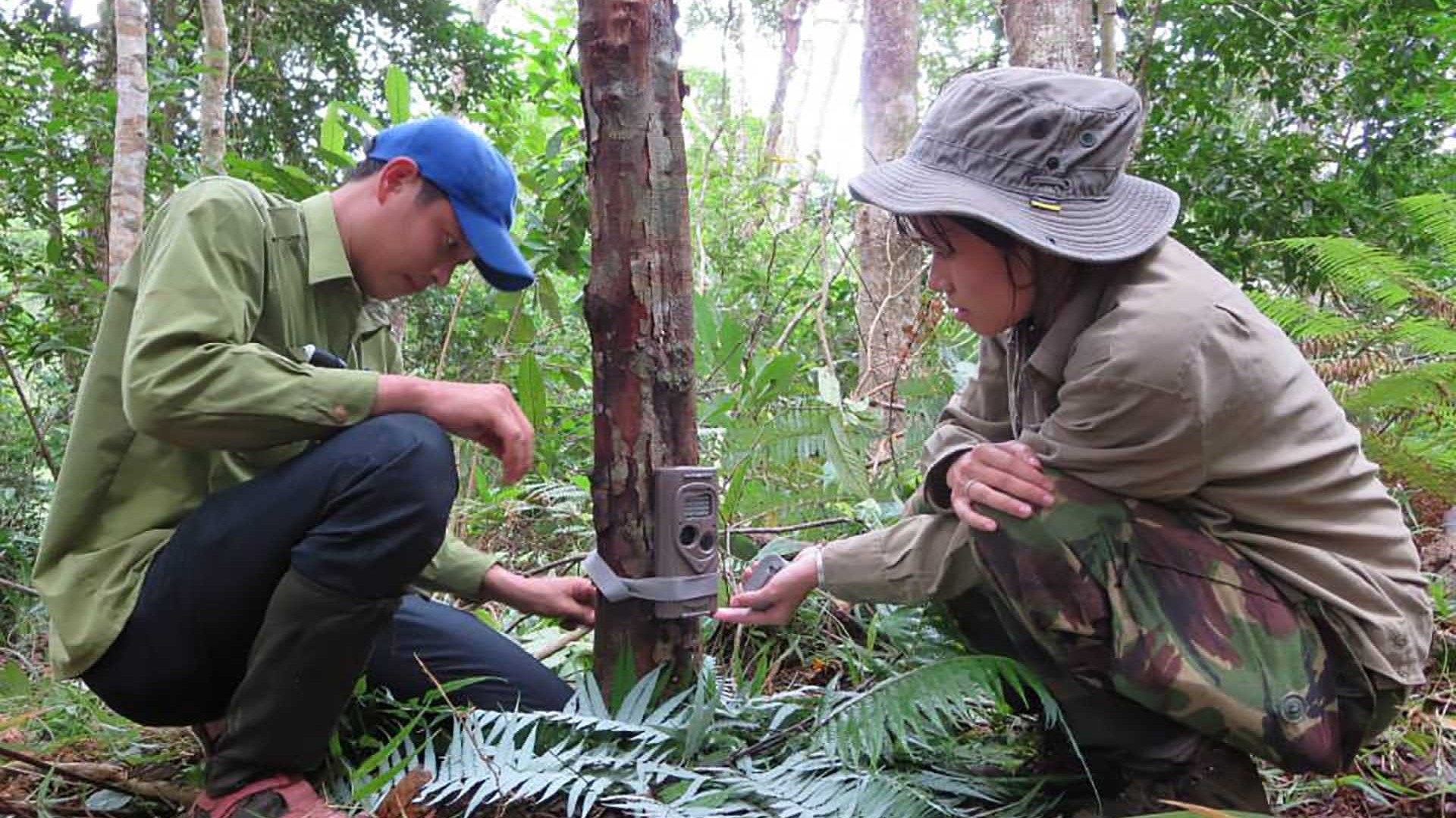 Nhà bảo tồn trẻ Trang Nguyễn: Bảo vệ môi trường và bảo tồn thiên nhiên không phải câu chuyện của riêng ai!