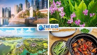 Trắc nghiệm du lịch Singapore: Bạn biết được những điểm độc đáo nào ở Singapore?