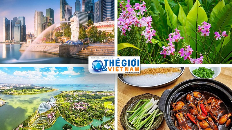 Trắc nghiệm du lịch Singapore: Bạn biết được những điểm độc đáo nào ở Singapore?
