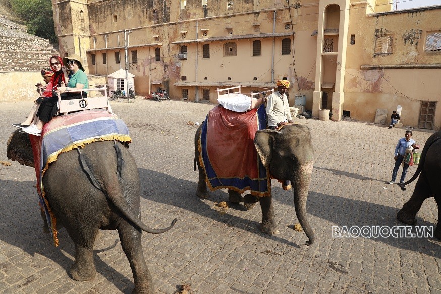Du khách Việt và trải nghiệm cưỡi voi ngắm cảnh ở Ấn Độ