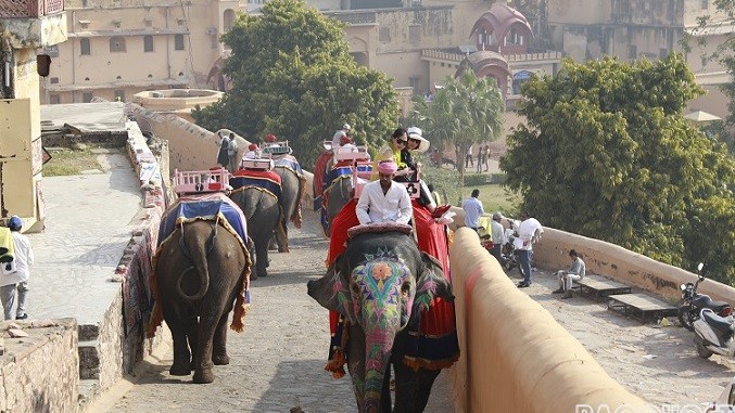 Trải nghiệm thú vị cưỡi voi, ngắm pháo đài cổ 400 tuổi ở Ấn Độ