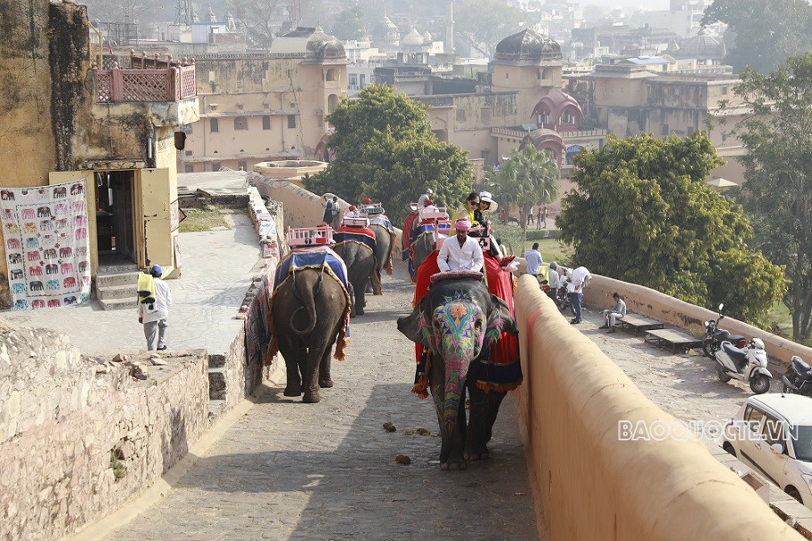 Du khách Việt và trải nghiệm cưỡi voi ngắm cảnh ở Ấn Độ