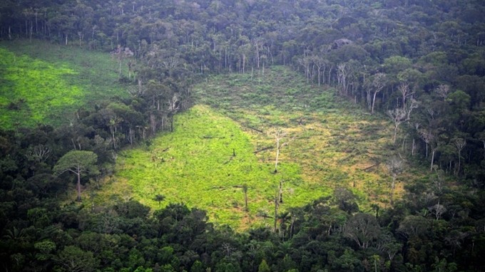 Lượng mưa trên thế giới giảm đáng kể do nạn phá rừng gia tăng