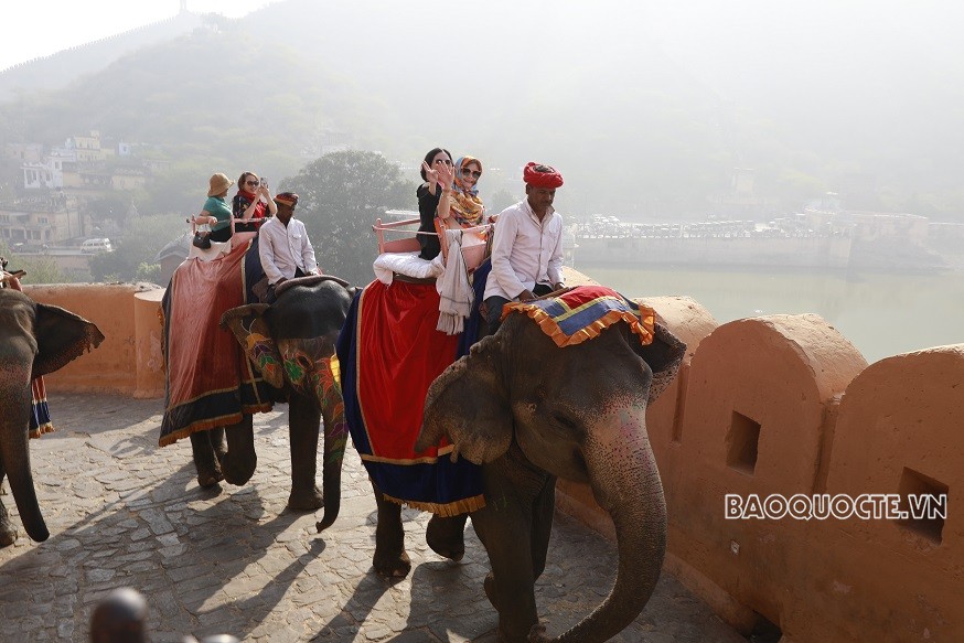 Du khách và trải nghiệm cưỡi voi ngắm cảnh ở Ấn Độ