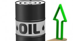 Giá xăng dầu hôm nay 16/4: Phục hồi đà tăng
