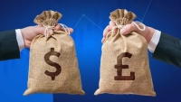 Tỷ giá ngoại tệ hôm nay 7/3: Tỷ giá USD, Euro, AUD, CAD, Yen Nhật, Bảng Anh... Đồng bạc xanh và Euro trái chiều