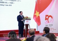 High-levels economic seminar on promoting Vietnam-Japan relations