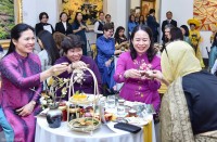 Phó Chủ tịch nước chủ trì tiệc trà mừng ngày quốc tế Phụ nữ cho các nhà ngoại giao nữ nước ngoài tại Việt Nam