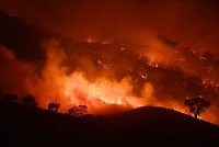 Tầng ozone bị phá hủy từ 3-5% - vụ cháy rừng 'Mùa hè Đen tối' có phải là 'thủ phạm' duy nhất?