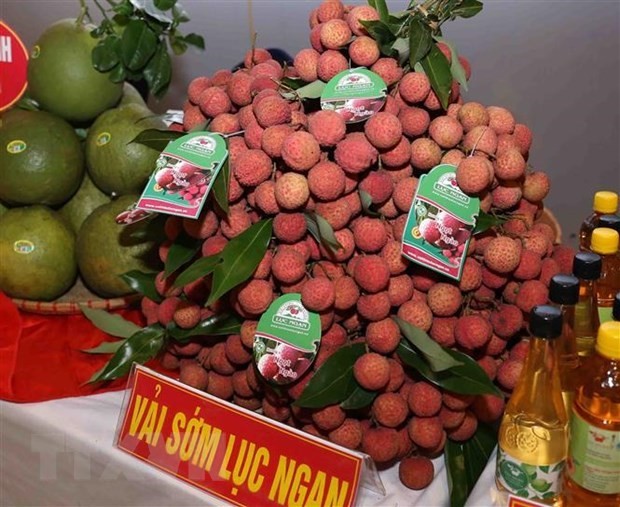 Trademark protection important for farm produce to go far in int'l markets