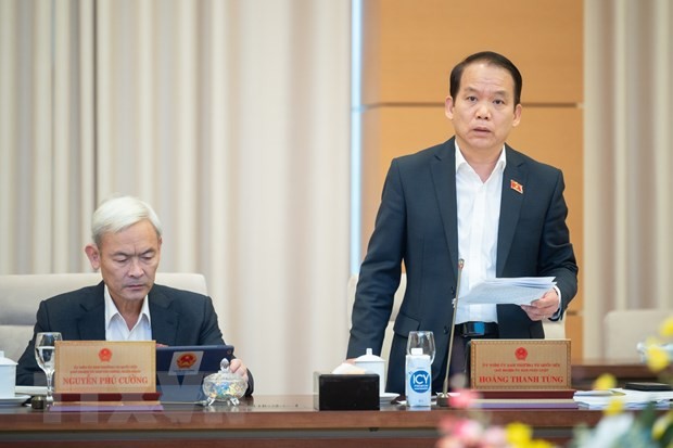 Chủ nhiệm Ủy ban Pháp luật của Quốc hội Hoàng Thanh Tùng phát biểu.