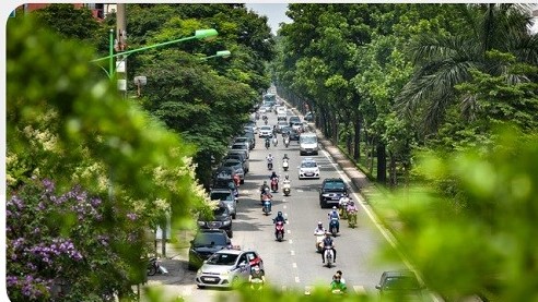 Hà Nội lên kế hoạch trồng mới nửa triệu cây xanh giai đoạn năm 2021-2025