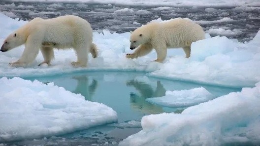 Băng vĩnh cửu ở Bắc Cực tan nhanh, virus cổ đại chục nghìn năm tuổi có nguy cơ sống lại