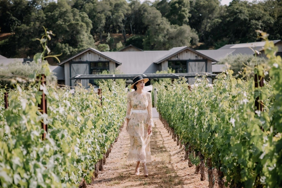 Hoa hậu Hà Kiều Anh thường xuyên qua Mỹ thăm người thân, bạn bè. Hoa hậu cho biết cô đã có dịp khám phá trang trại chuyên trồng nho làm rượu vang nổi tiếng tại bang California và làm mẫu, thực hiện bộ ảnh ở đây.