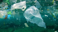 Đại dương ô nhiễm ‘chưa từng có’